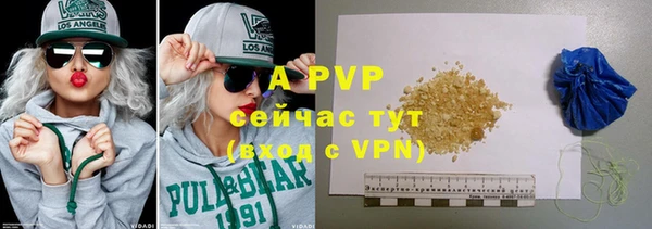 хмурый Бородино