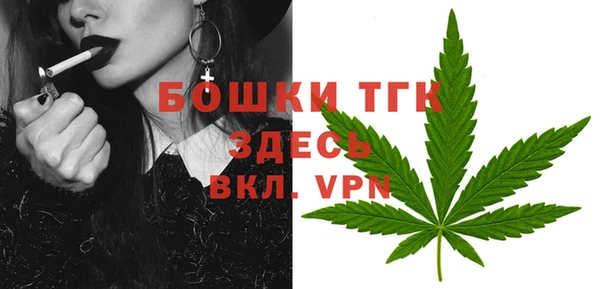 гидра Бугульма