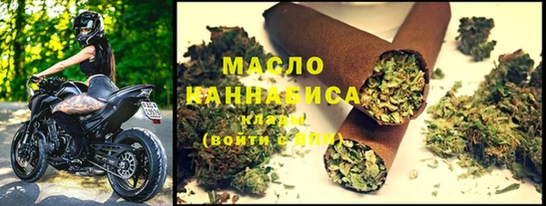 хмурый Бородино