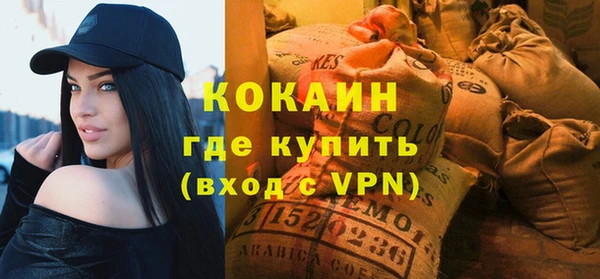хмурый Бородино
