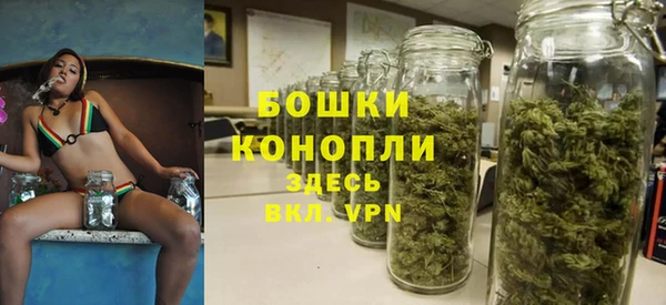гидра Бугульма