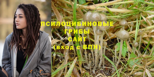 хмурый Бородино