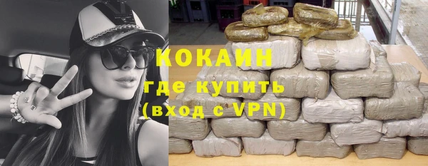 хмурый Бородино