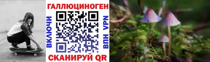 Псилоцибиновые грибы Cubensis  купить наркоту  Нарьян-Мар 